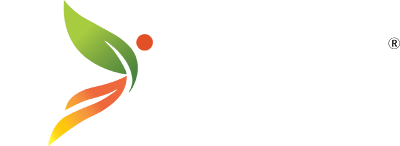 YN Coaching