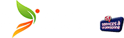YN Coaching