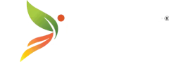 Logo YN coaching - footer